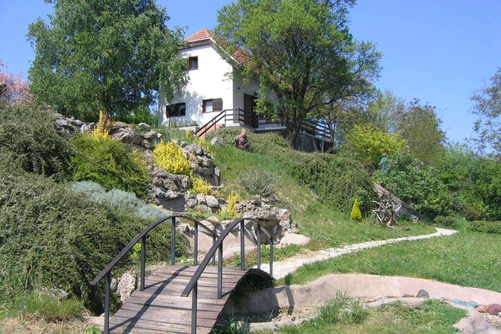 Villa Kornelija Stari Slankamen Eksteriør billede